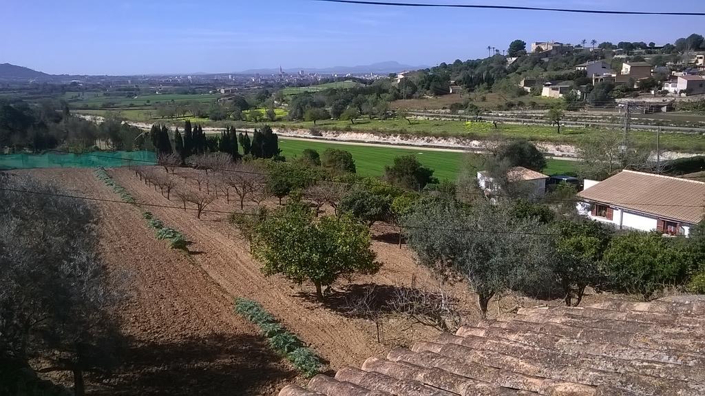 Vila La Casita Manacor  Exteriér fotografie